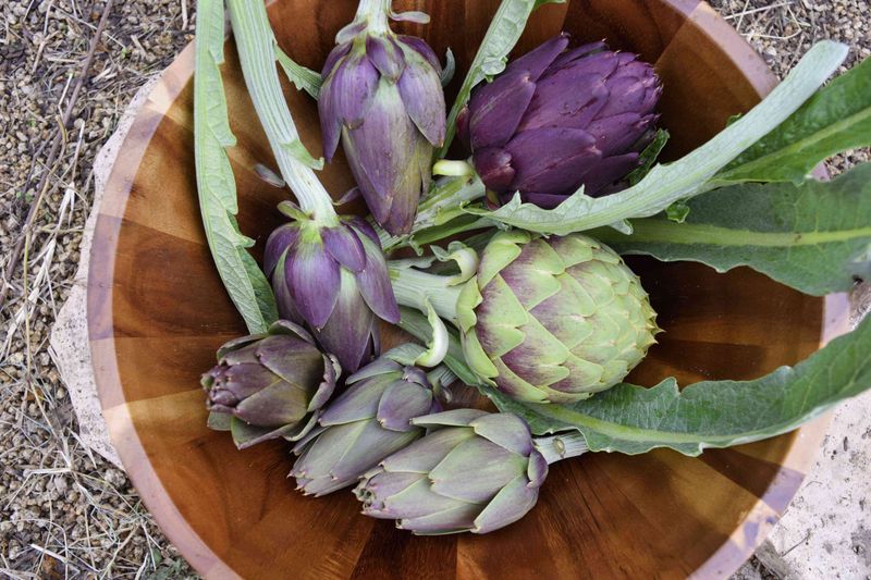 Perennial Vegetables