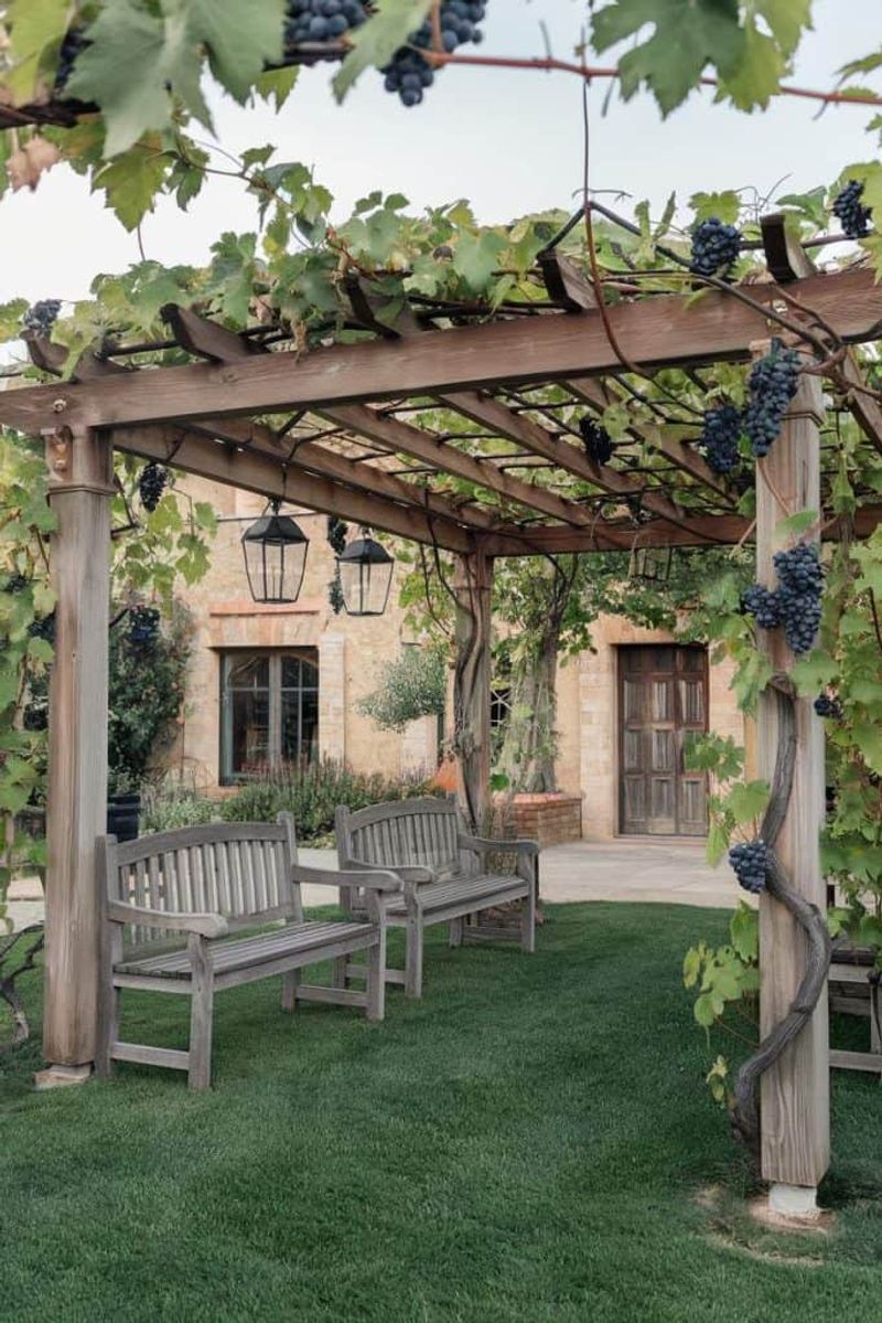 Pergola with Vines