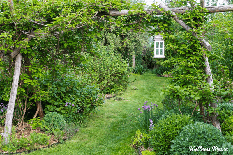 Permaculture Paradise