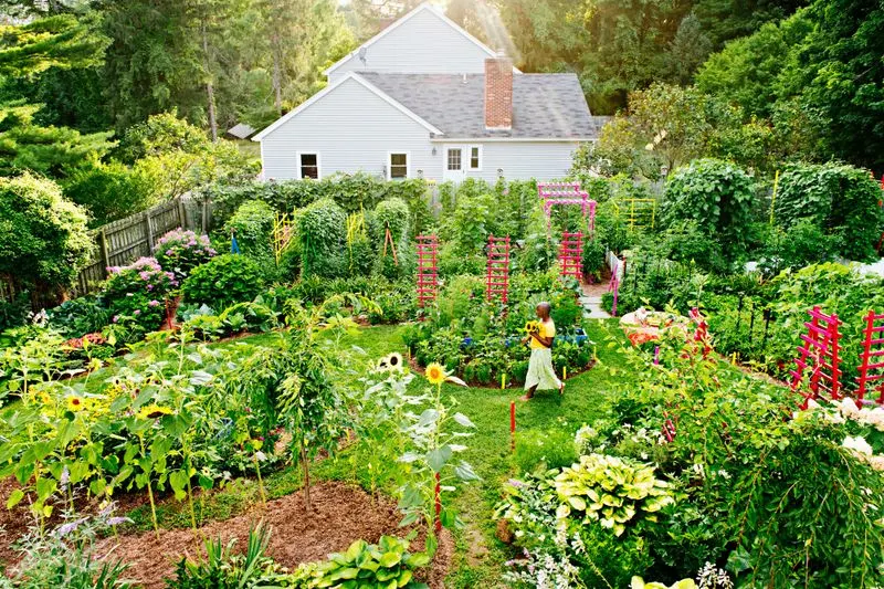 Permaculture Practices