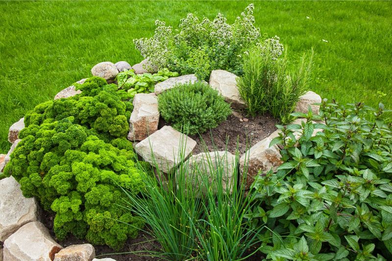 Permaculture Principles