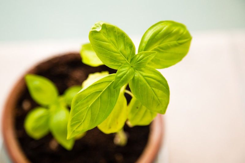 Personal Growth
