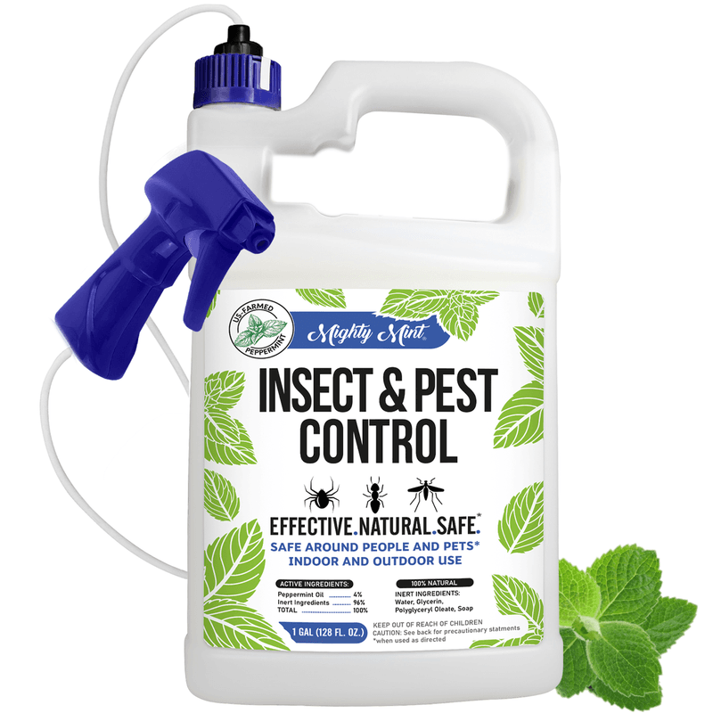 Pest Deterrent