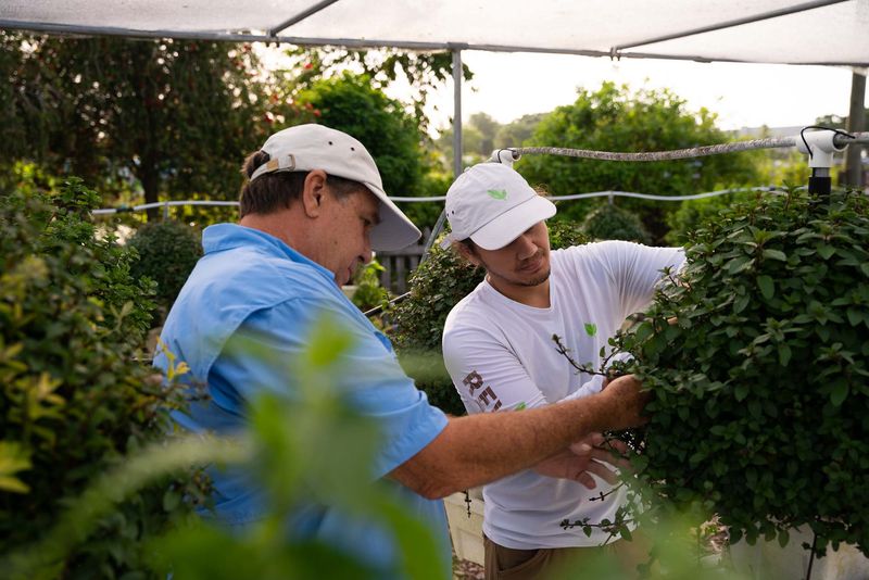 Pest Monitoring