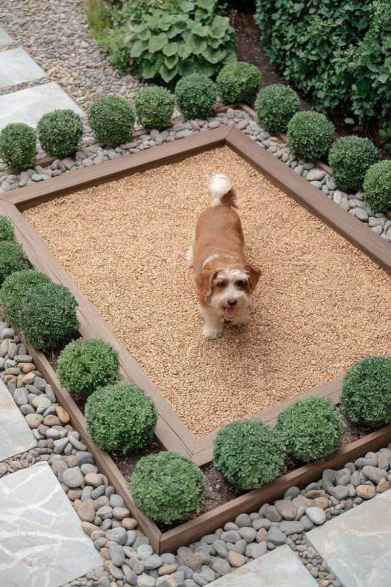 Pet-Friendly Zone