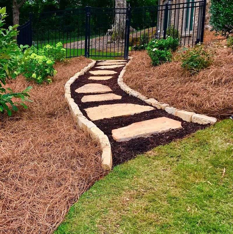 Pine Needles as Mulch