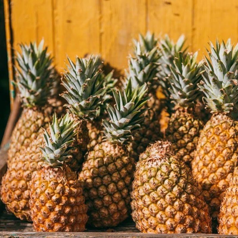 Pineapple