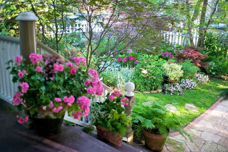 Place Plants in the Shade