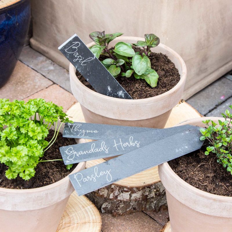 Plant Labels