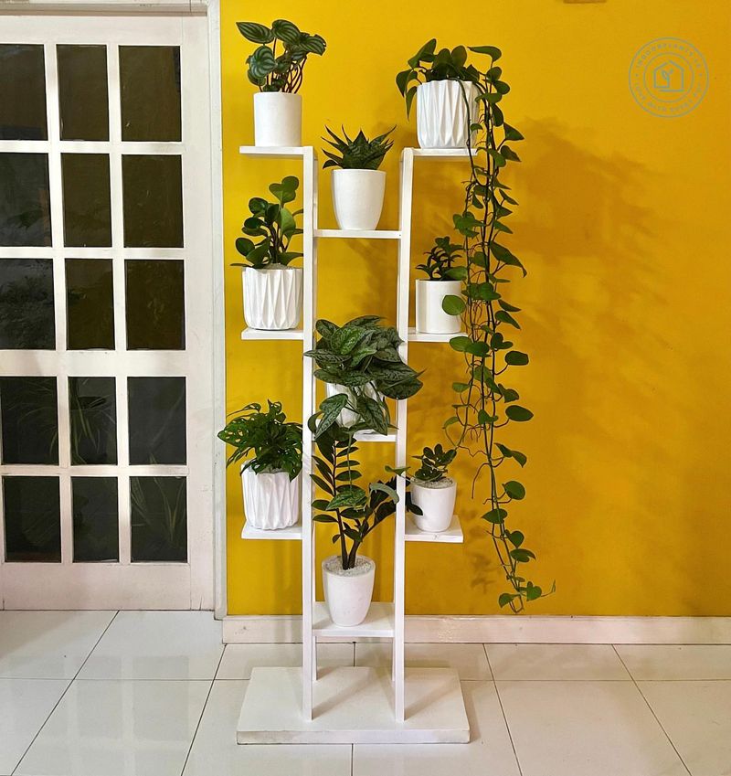 Plant Stands
