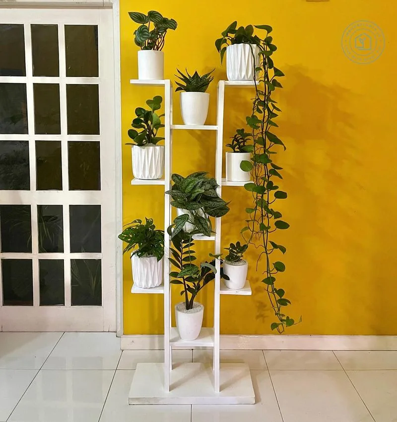 Plant Stands
