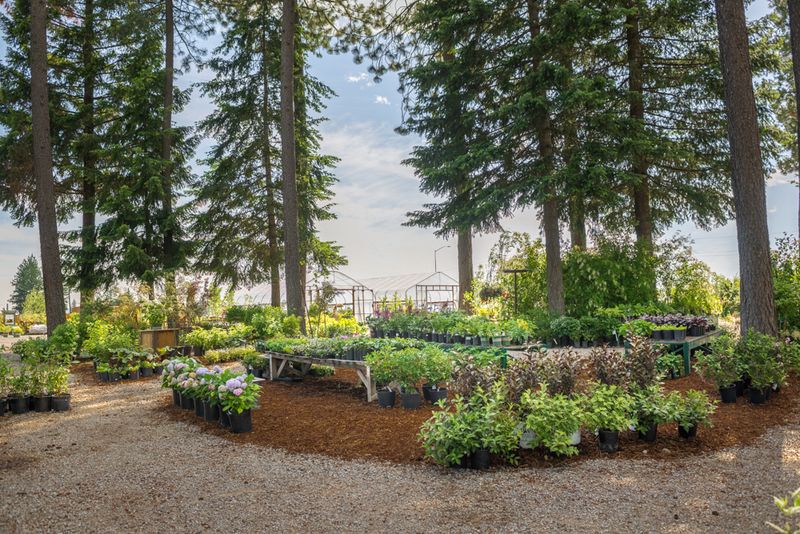Plant Warranties