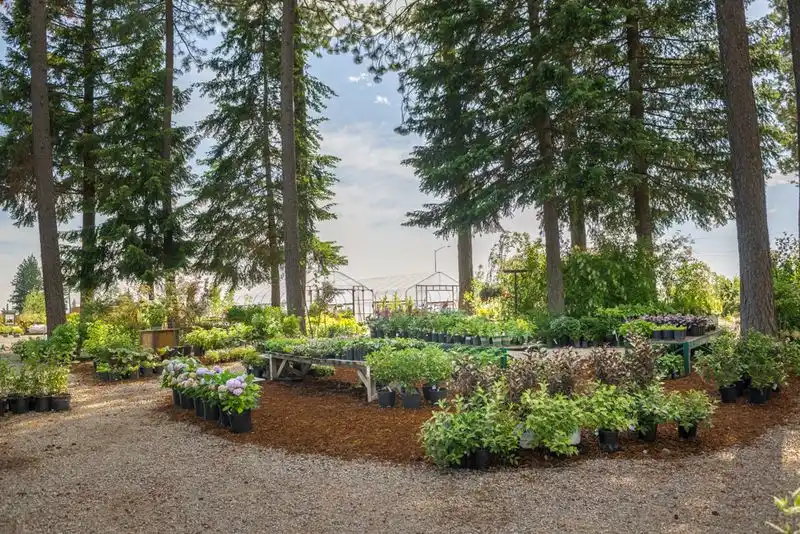Plant Warranties