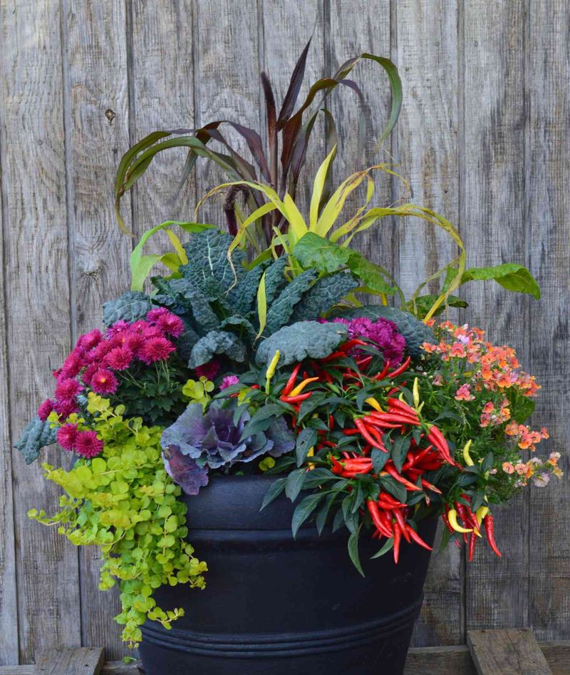 Planters with Flowers