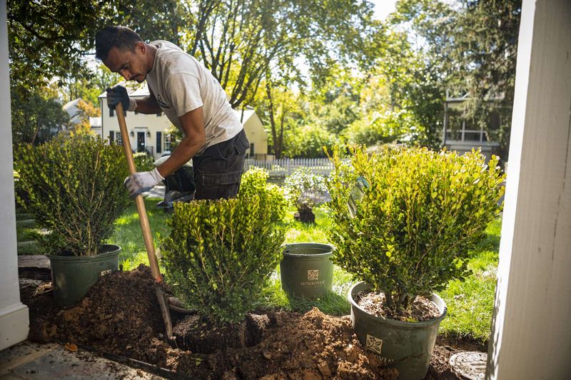 Planting Non-Native Species