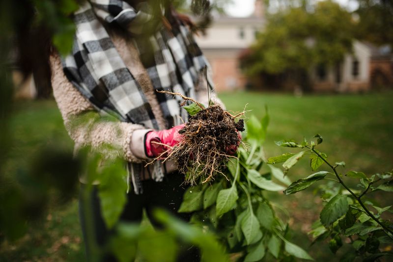 Planting Out of Season