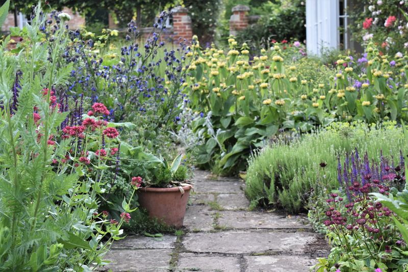 Planting Too Densely