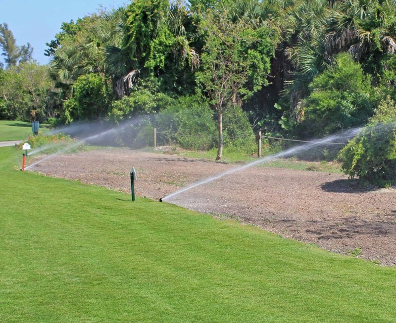 Planting Water-Intensive Turfgrasses
