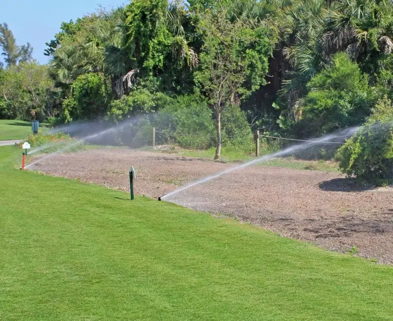 Planting Water-Intensive Turfgrasses