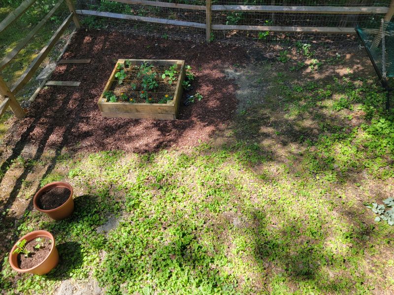 Planting in the Wrong Spot