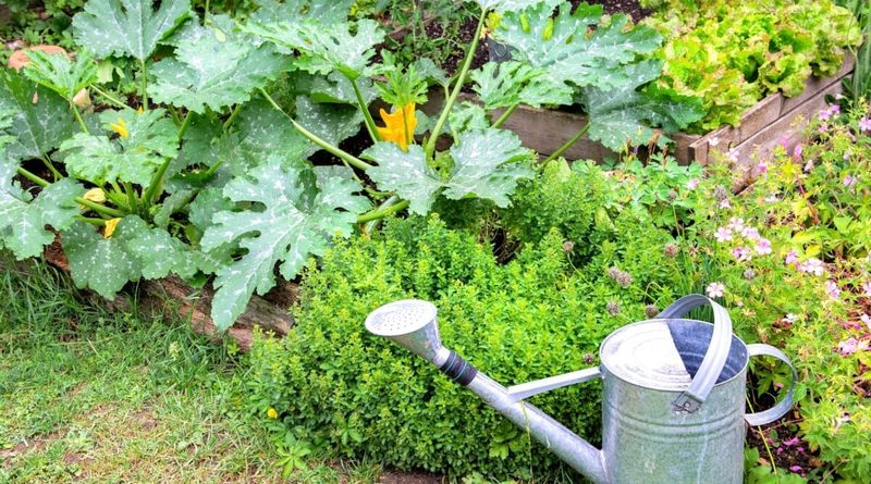 Planting the Wrong Species