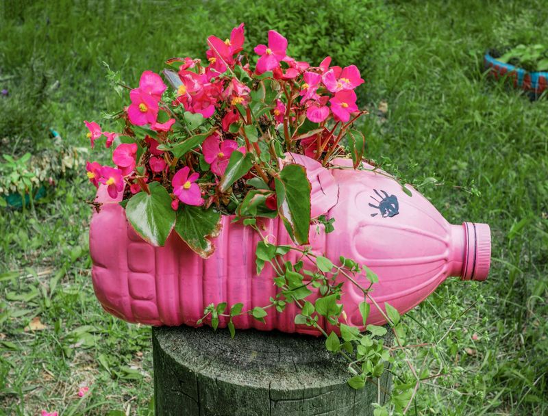 Plastic Plant Containers