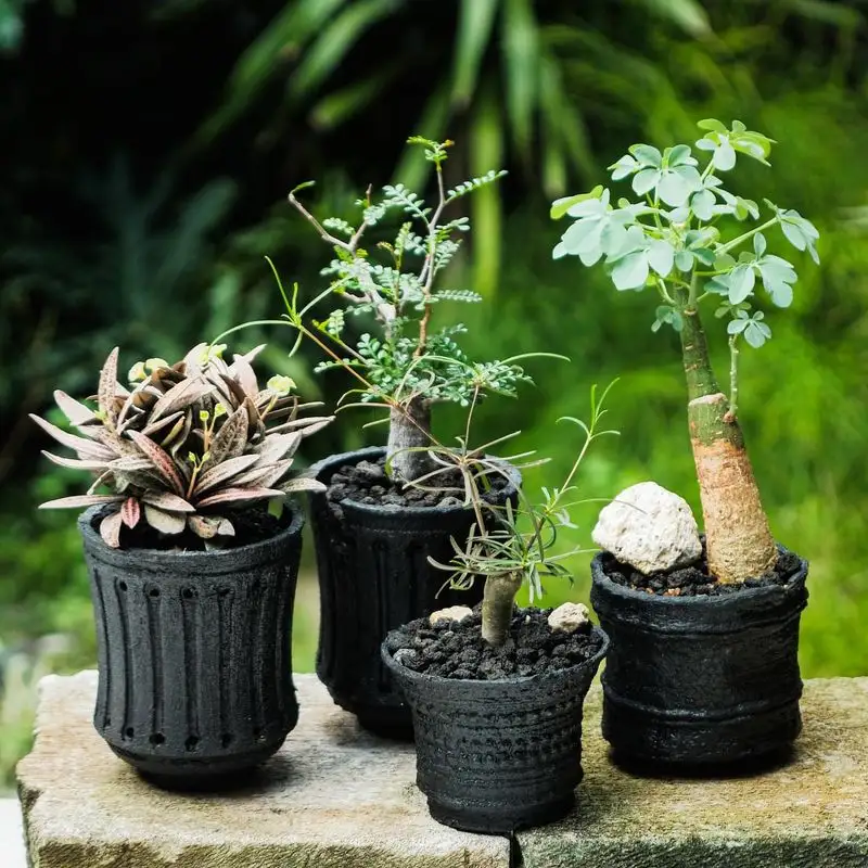 Plastic Planters