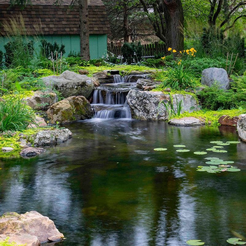 Pond and Water Feature Supply