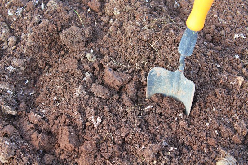Poor Soil Quality