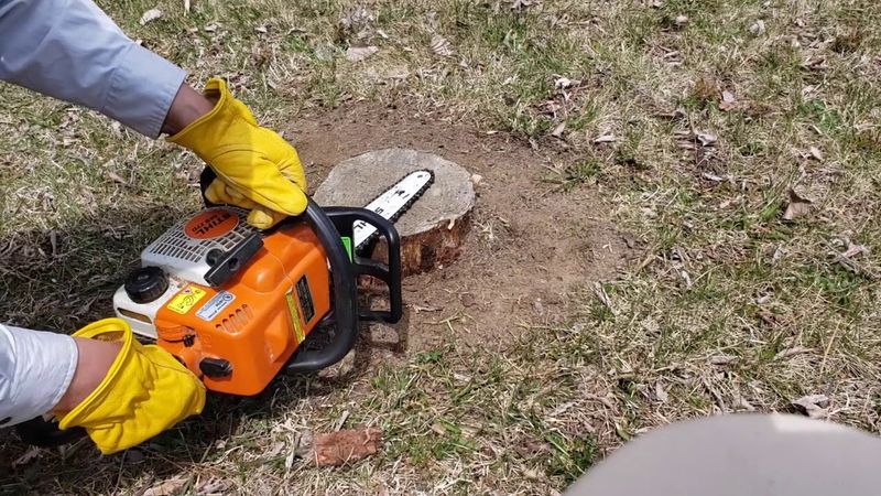 Using a Chainsaw