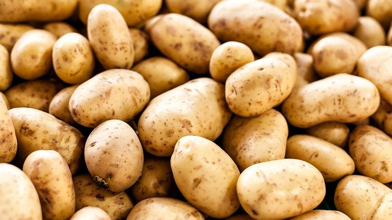 Potato Skins