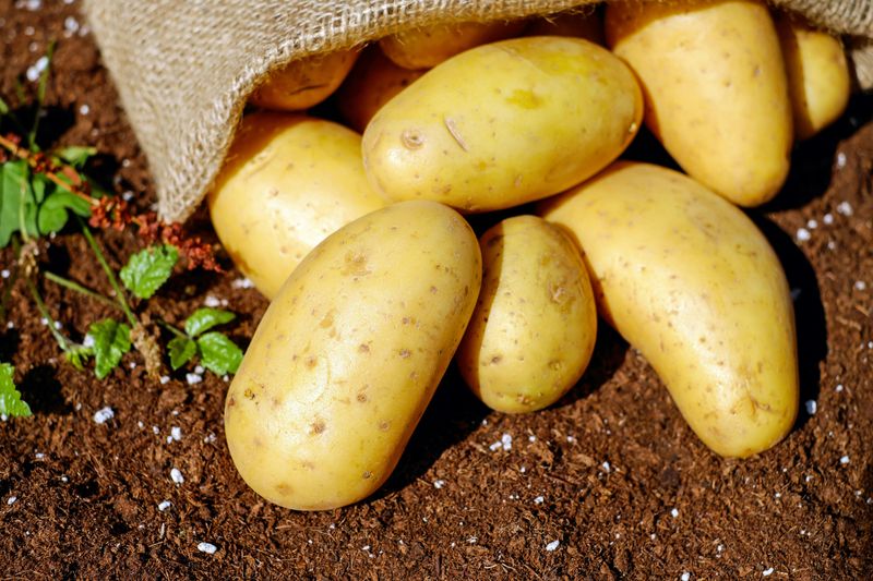 Potatoes & Horseradish