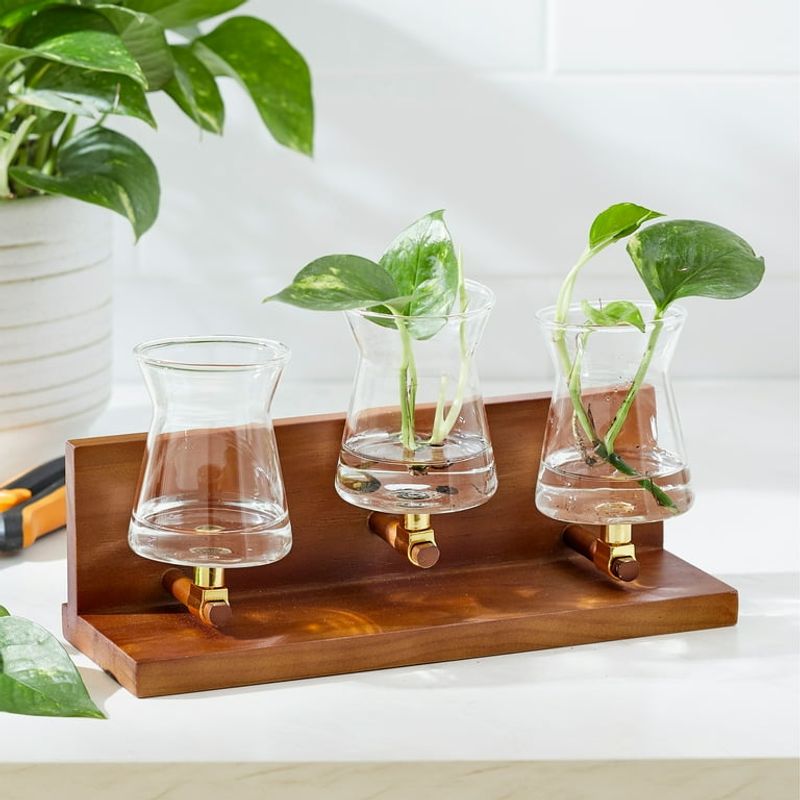 Propagation Station