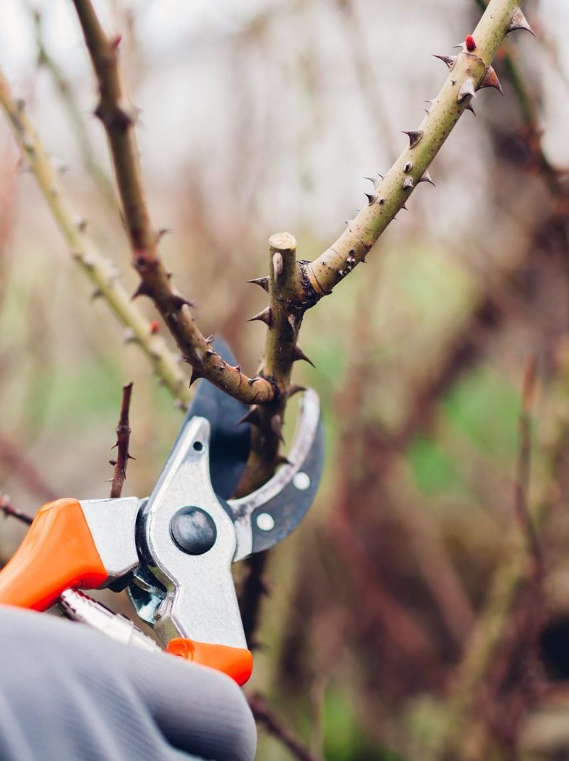 Pruning Perils