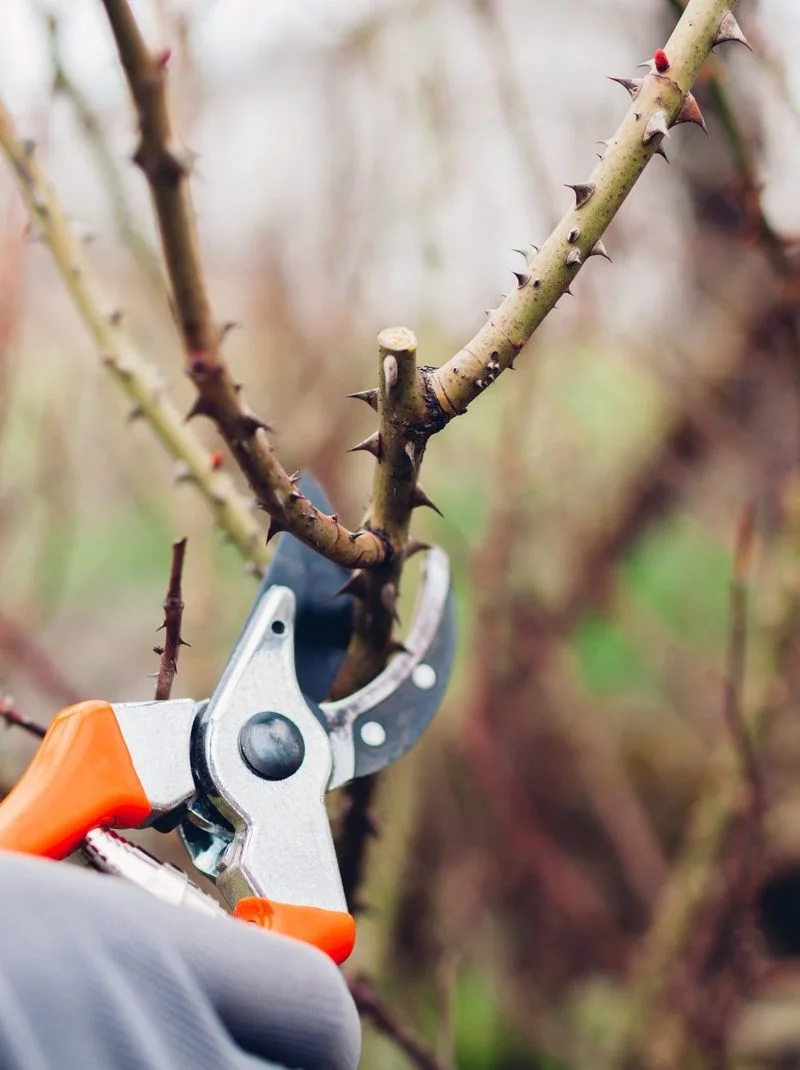 Pruning Perils