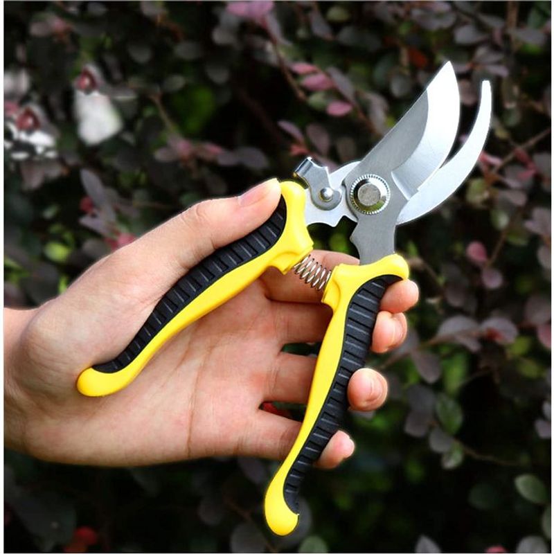 Pruning Shears