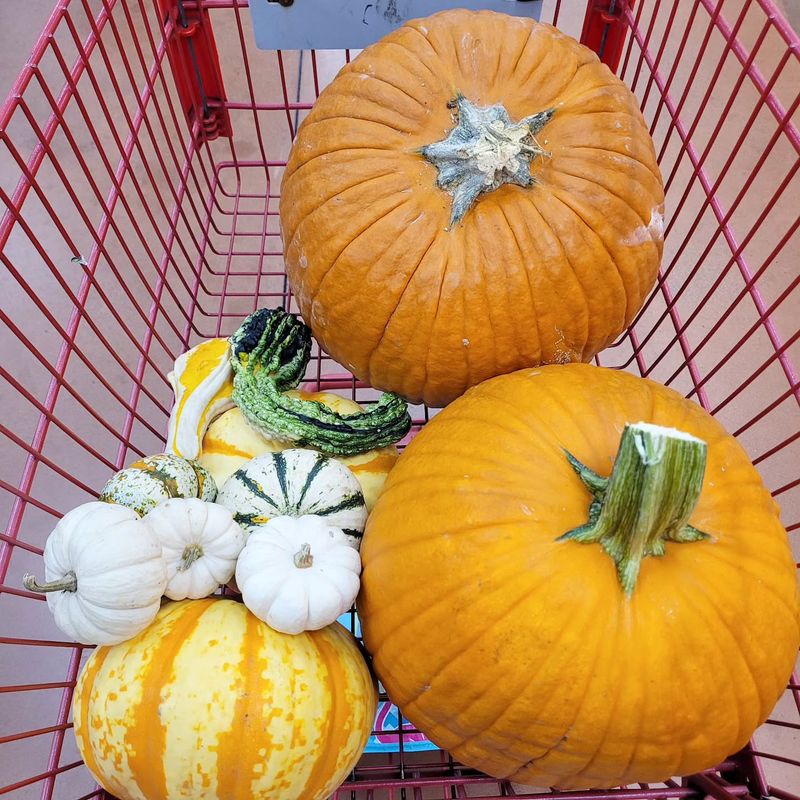 Pumpkins