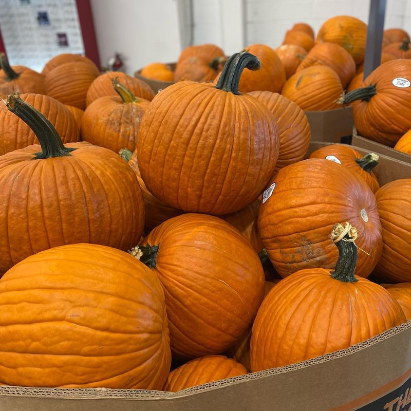 Pumpkins