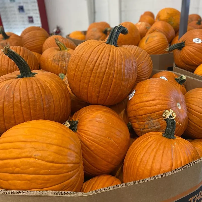 Pumpkins