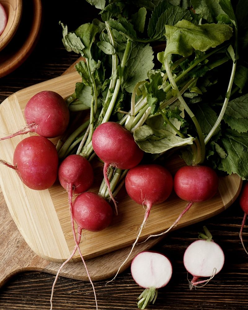 Radish