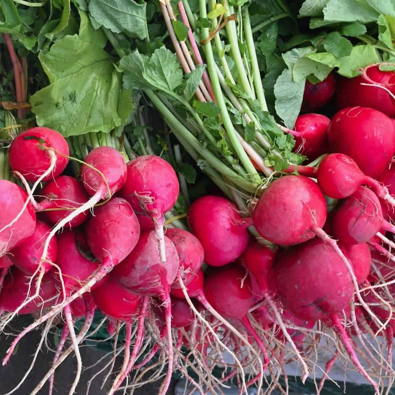Radishes