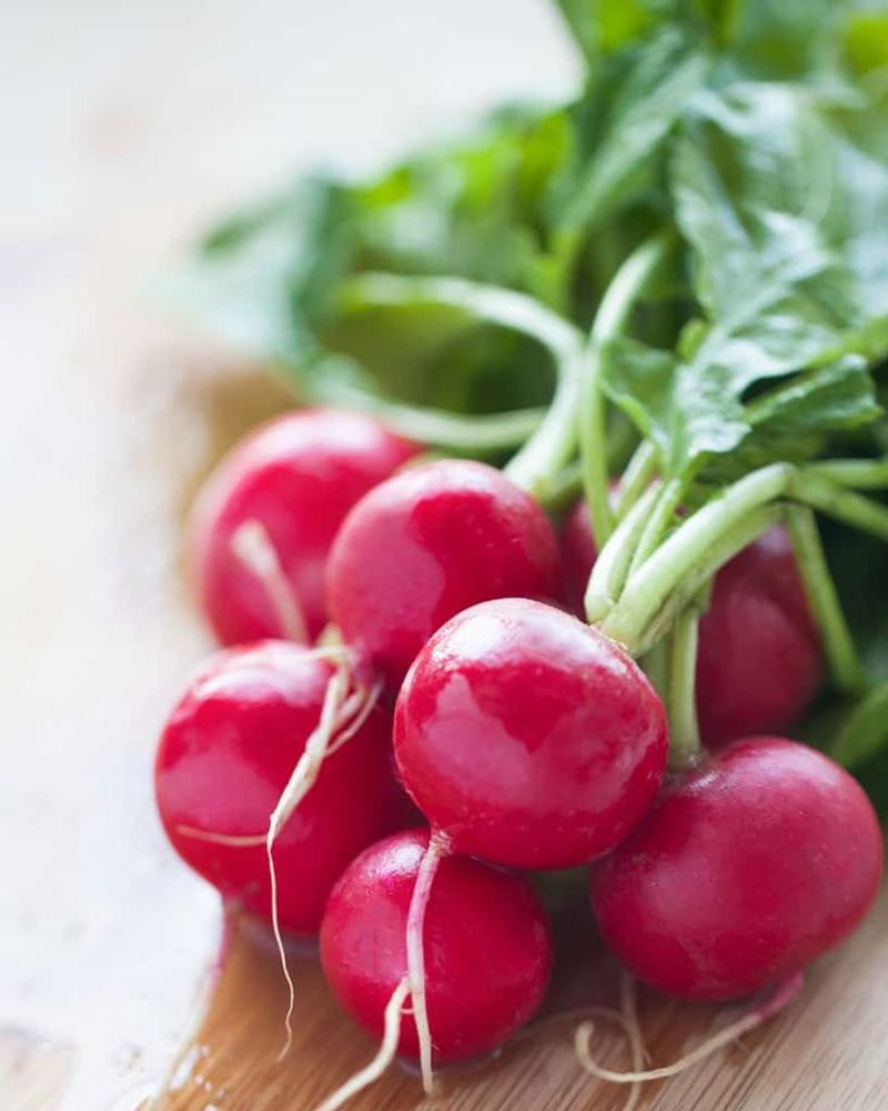 Radishes
