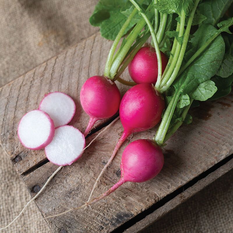 Radishes