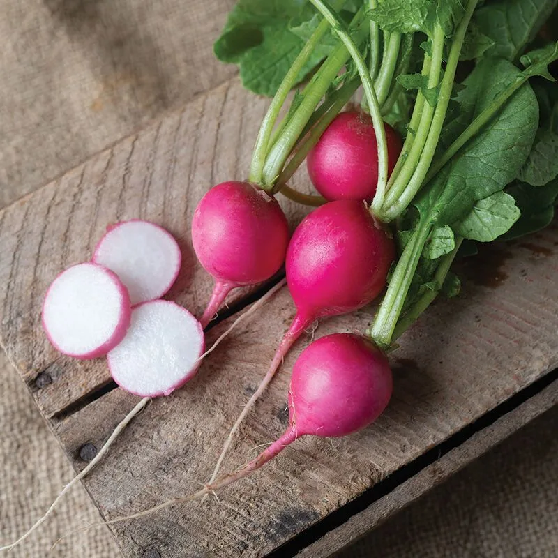 Radishes