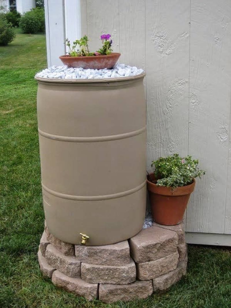 Rain Barrel