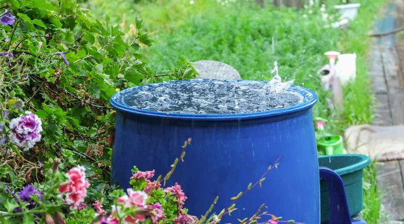 Rainwater Harvesting System