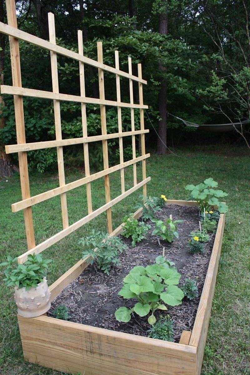 Raised Garden Beds
