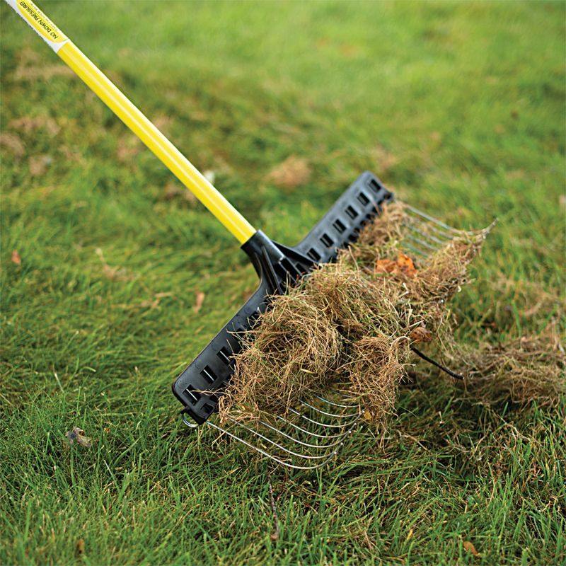 Rake