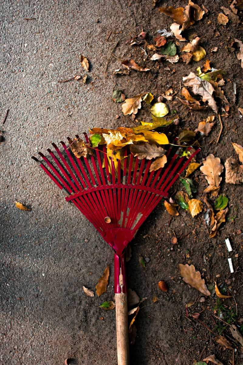 Raking Leaves