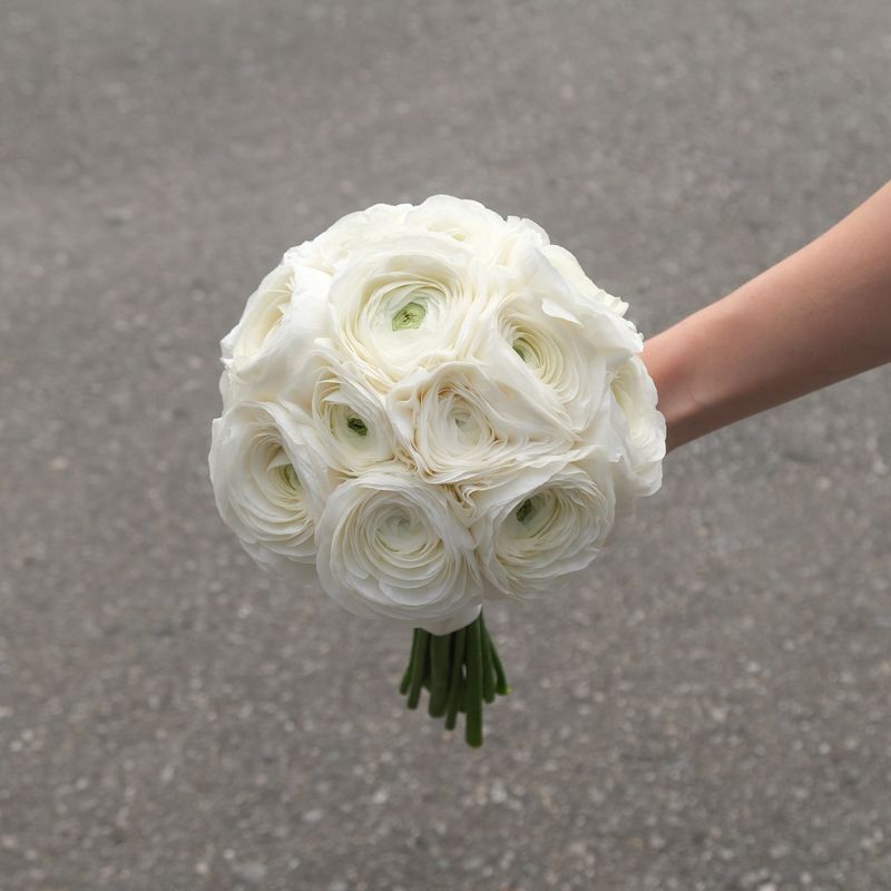 Ranunculus